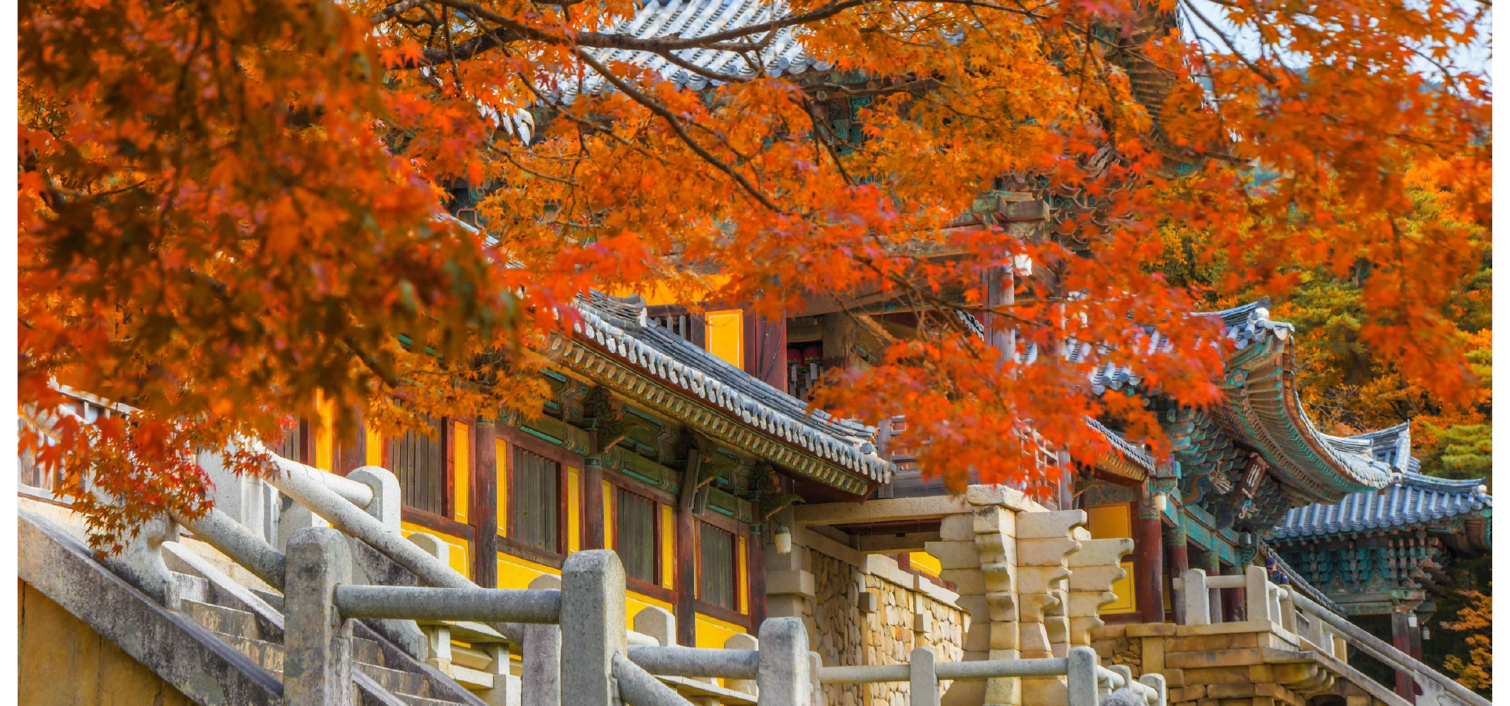 慶州世界遺產一日遊（釜山出發）