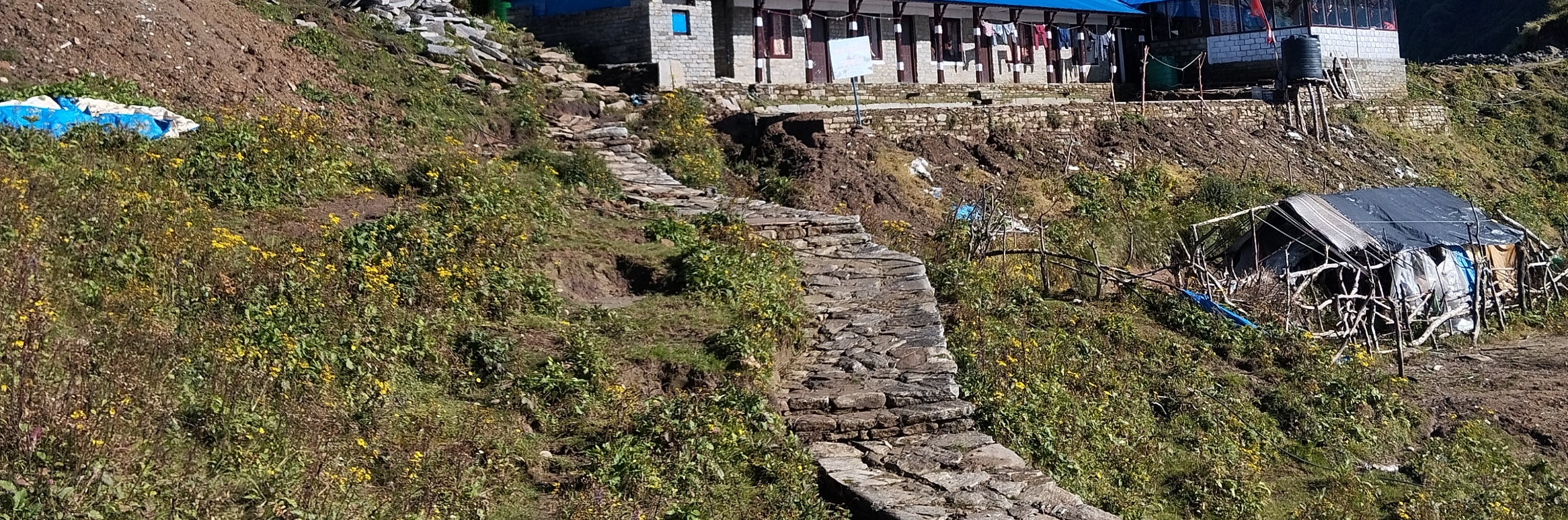 博卡拉：4天馬爾迪喜馬拉雅山徒步之旅