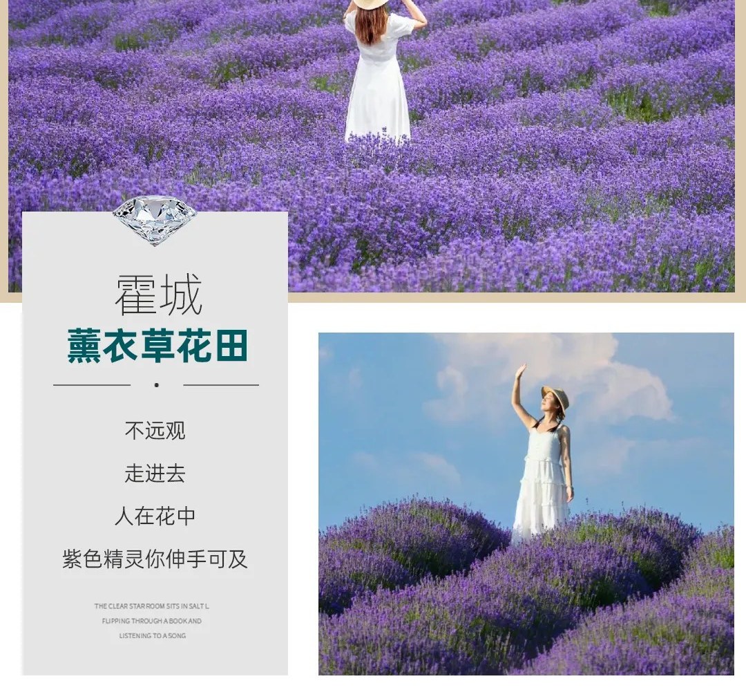 新疆童話伊犁8日（賽里木湖景區帳篷露營+伊昭公路+夏塔古道+瓊庫什臺騎馬+庫爾德寧+那拉提空中草原）