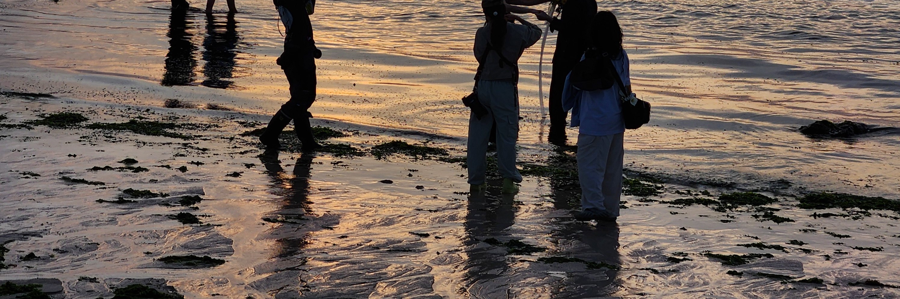 Handam Beach (Aewol) & Olle Trail Sunset Tour:
Take a peaceful stroll along the coastal Olle Trail at Handam Beach.
As the sky turns golden and the sea sparkles in the evening light, feel Jeju’s quiet magic at sunset.