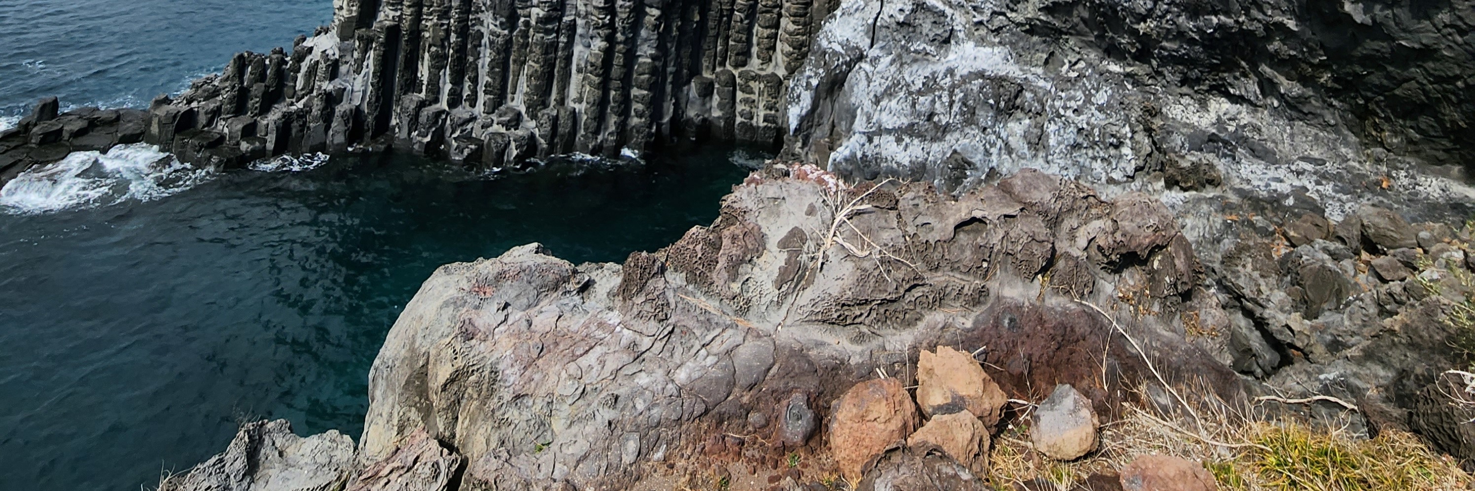 jusangjeollidae
