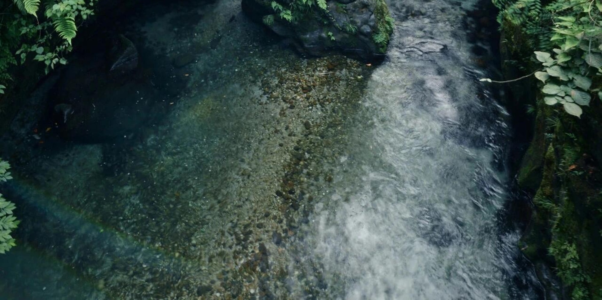 The beautiful scenery of Emei Mountain and the clear sound of the twin bridges. The black and white waters converge, the flying bridge is like a rainbow, and the sound of the waves is like a piano. It is like a fairyland. Come and feel this natural music.