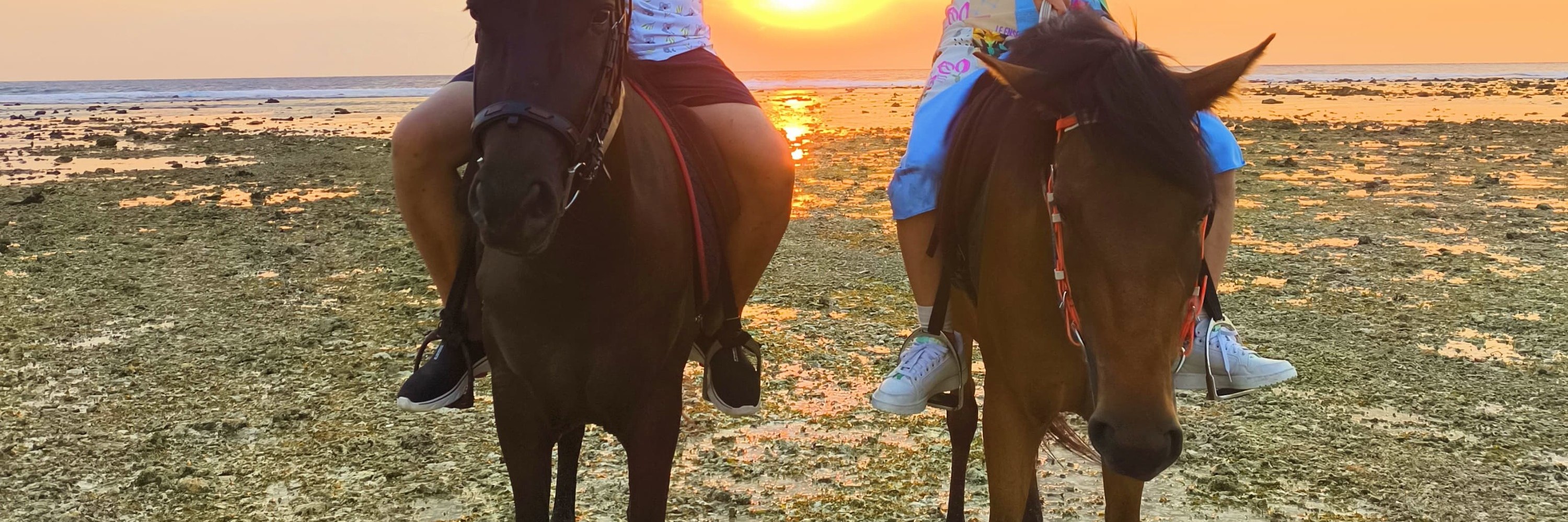 吉利特拉旺安日落或日出海灘騎馬體驗