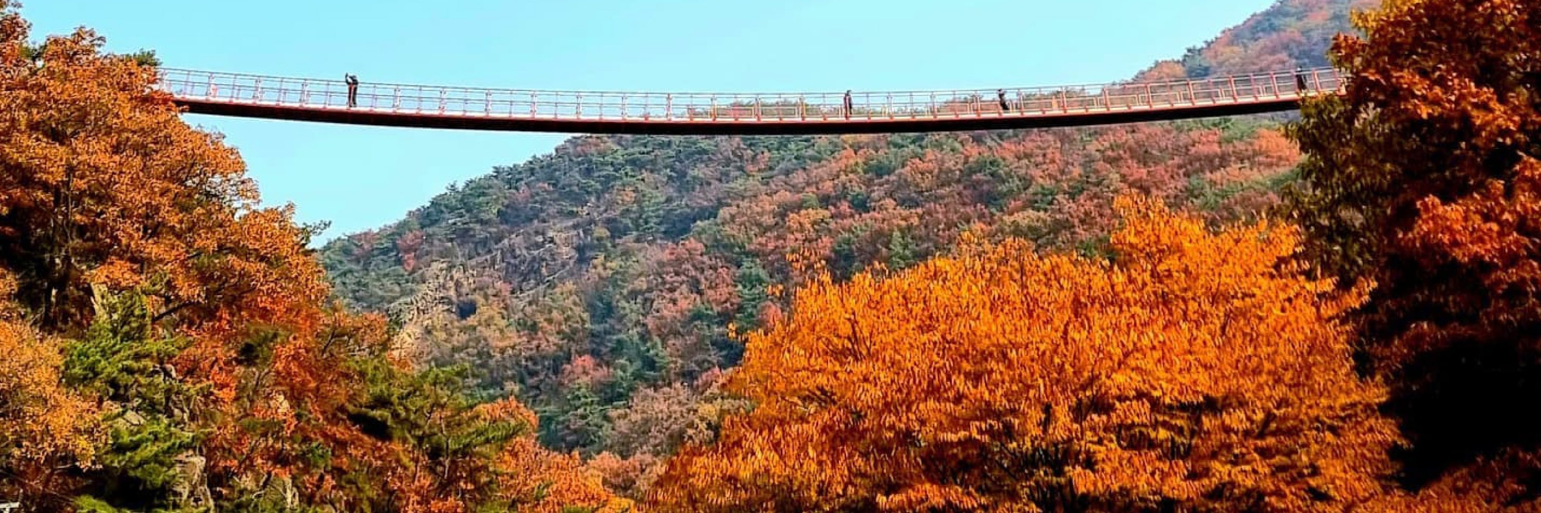 首爾市 & 季節性熱門景點一日遊