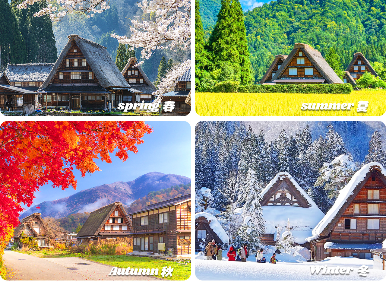 白川鄉合掌村是岐阜山區矗立著100多棟“合掌造”茅草大屋、四季美景環繞、被聯合國教科文組織列為世界文化遺產的童話般山村,展現人與自然共生的日本古樸生活風情。 白川鄉合掌村是岐阜山區矗立著100多棟“合掌造”茅草大屋、四季美景環繞、被聯合國教科文組織列為世界文化遺產的童話般山村,展現人與自然共生的日本古樸生活風情。