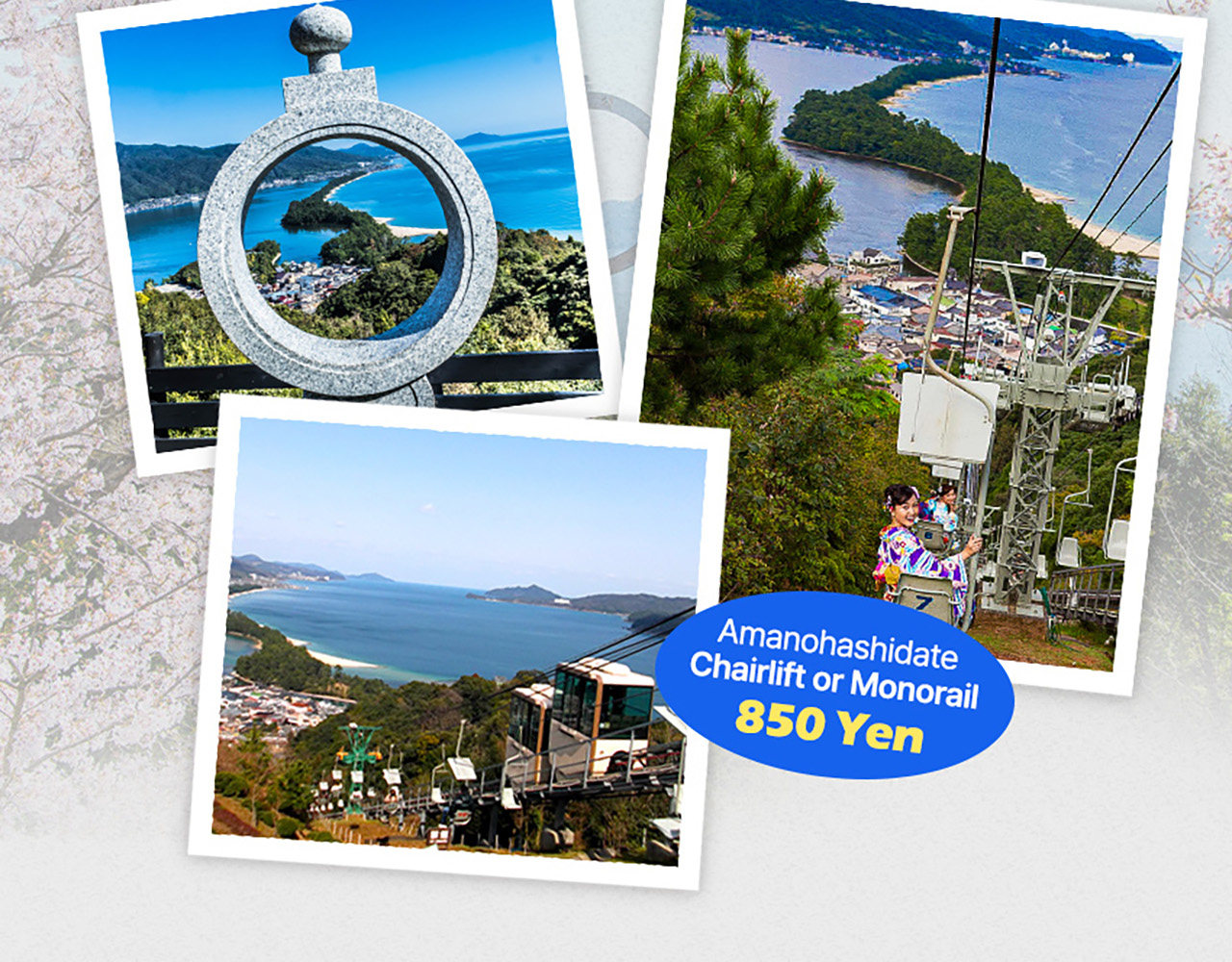 Kyoto by the Sea: Amanohashidate & Ine no Funaya Bus Tour from Osaka