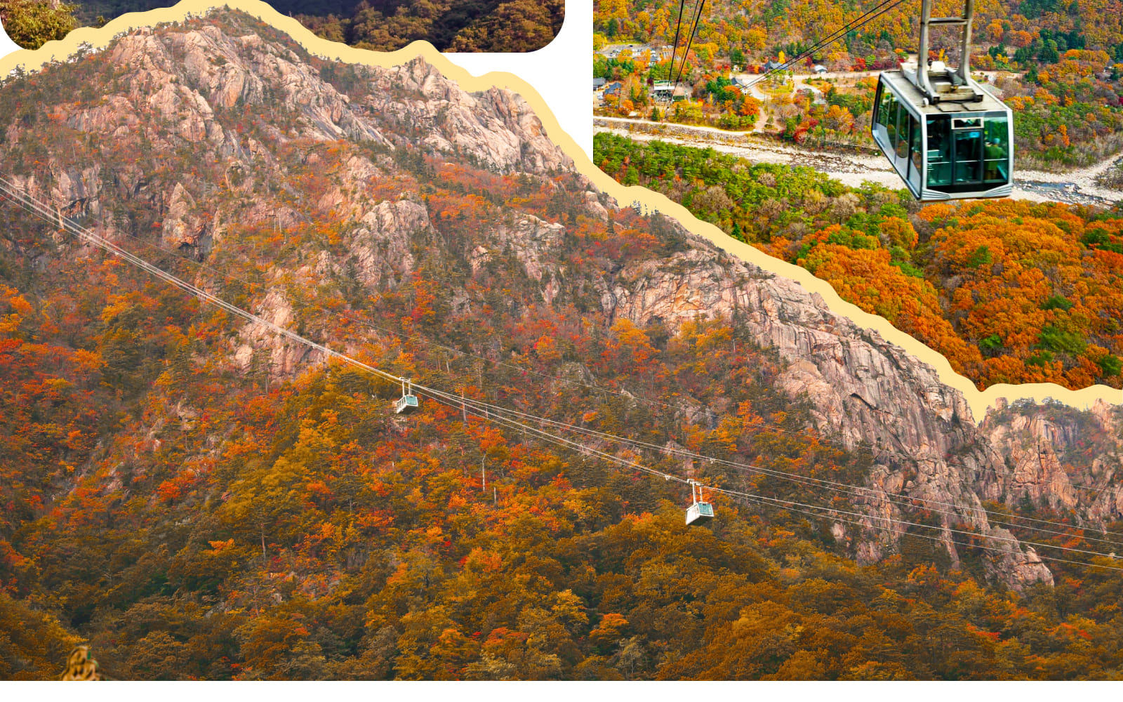 Mt. Seoraksan Cable Car x Sokcho One day Tour (from Seoul) 