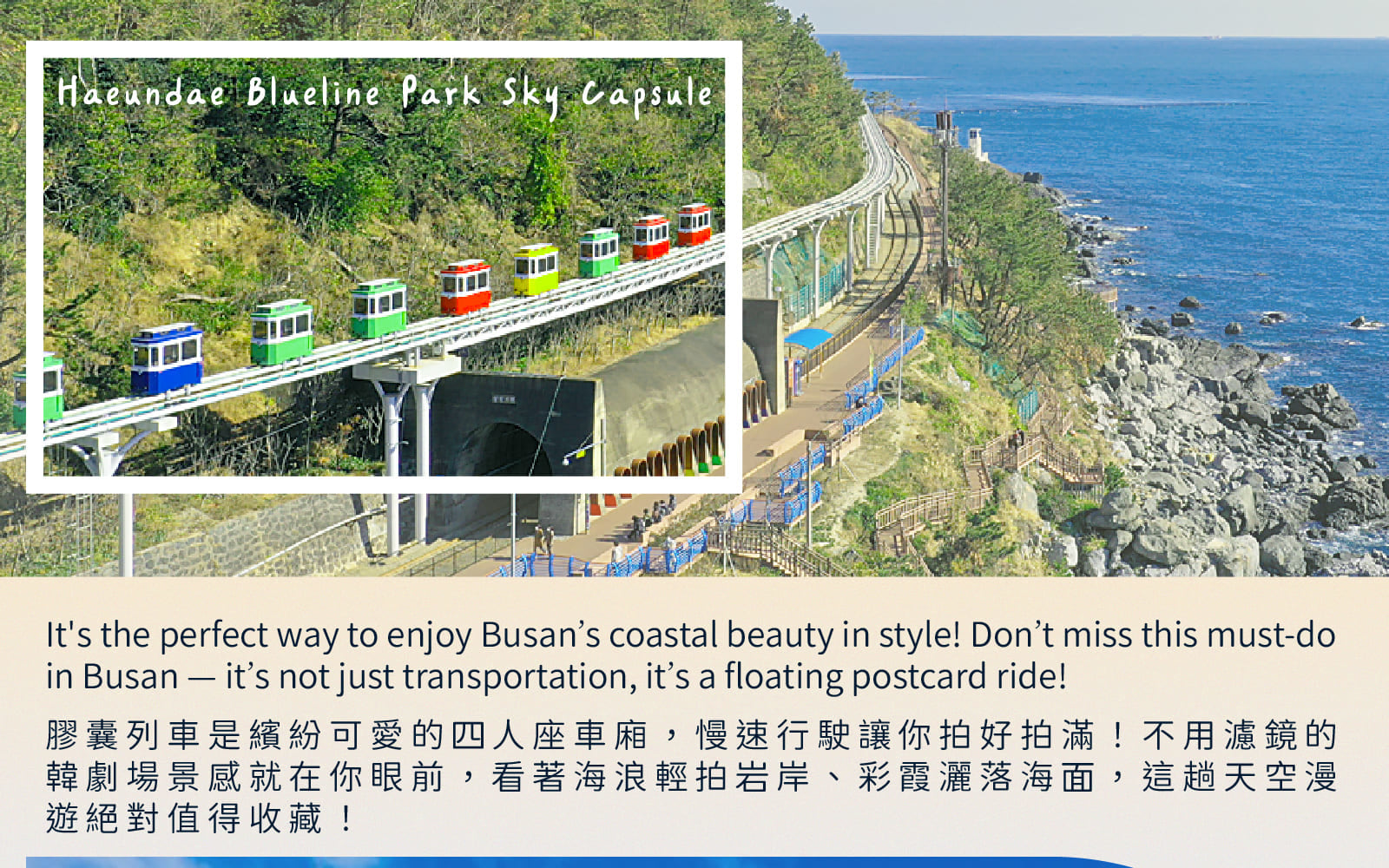 太宗臺繡球花 / 松島海上纜車 / 甘川洞 / 廣安裡之旅