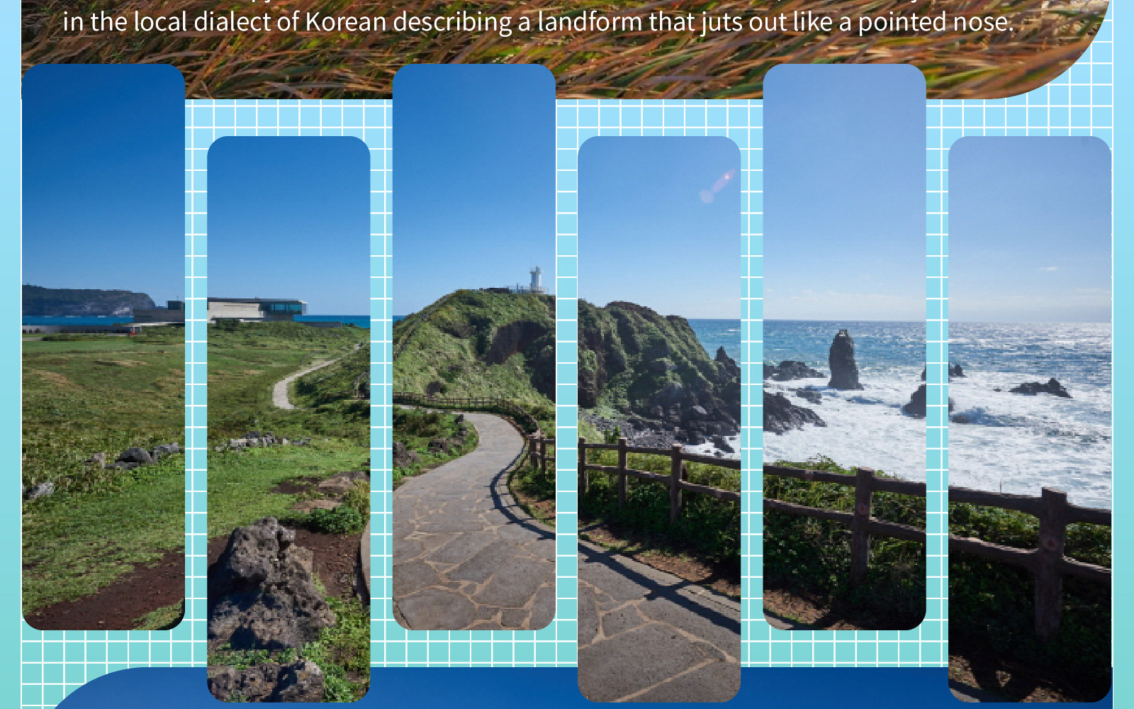 Jeju Eastern / Western / Cherry Blossom / Hydrangea / Private Tour 
