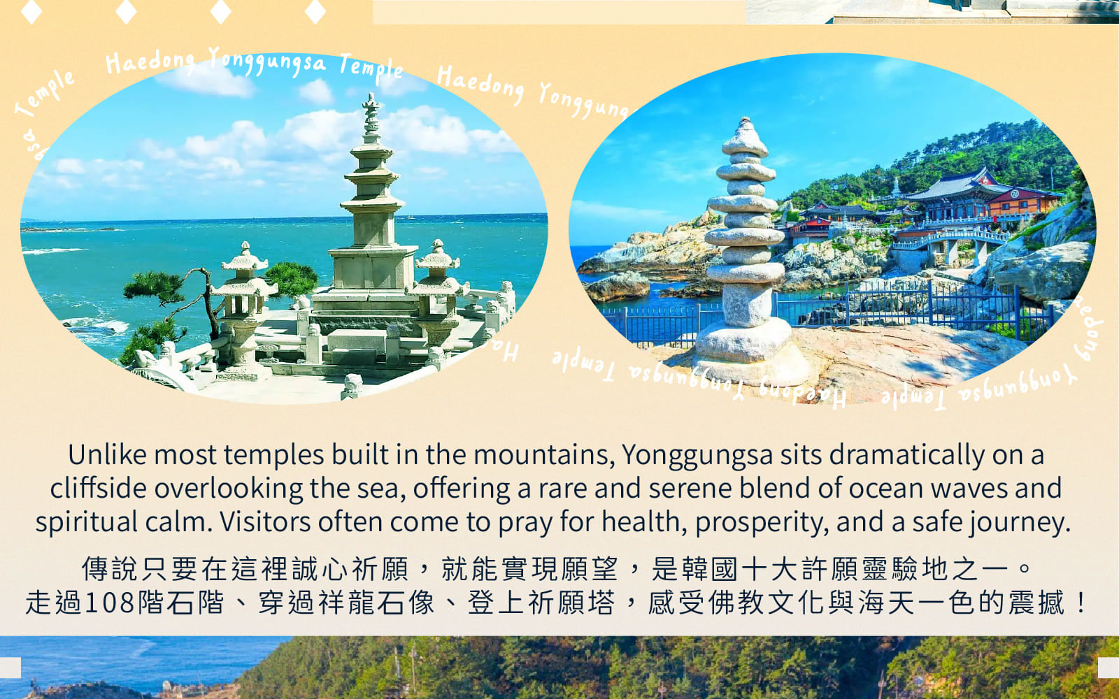 太宗臺繡球花 / 松島海上纜車 / 甘川洞 / 廣安裡之旅