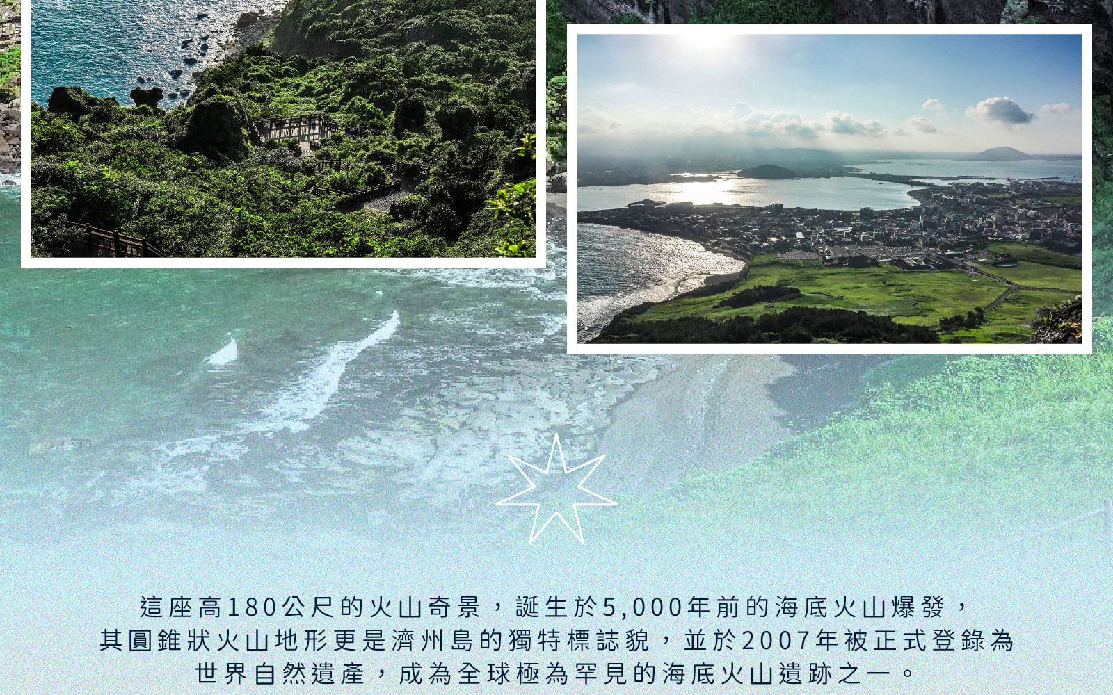 Jeju Eastern / Western / Cherry Blossom / Hydrangea / Private Tour 