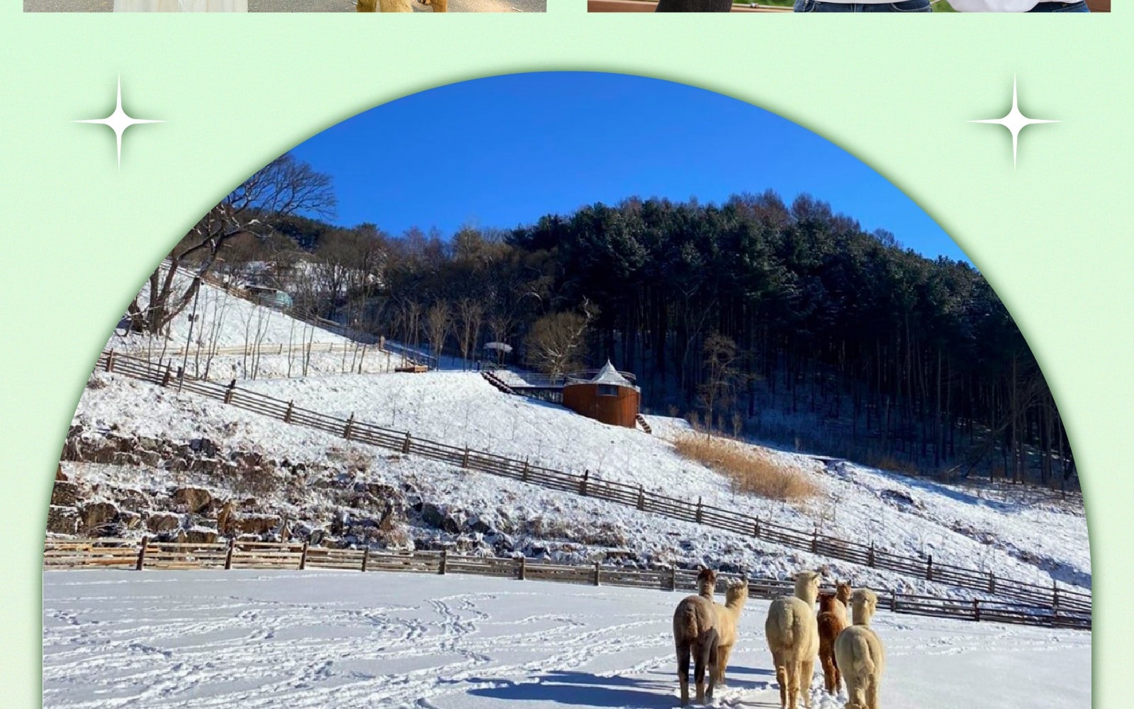 羊駝牧場 / 南怡島 / 江村鐵路自行車 / 晨靜樹木園 / 樂高樂園 /  塗鴉秀 / 猛男秀一日遊