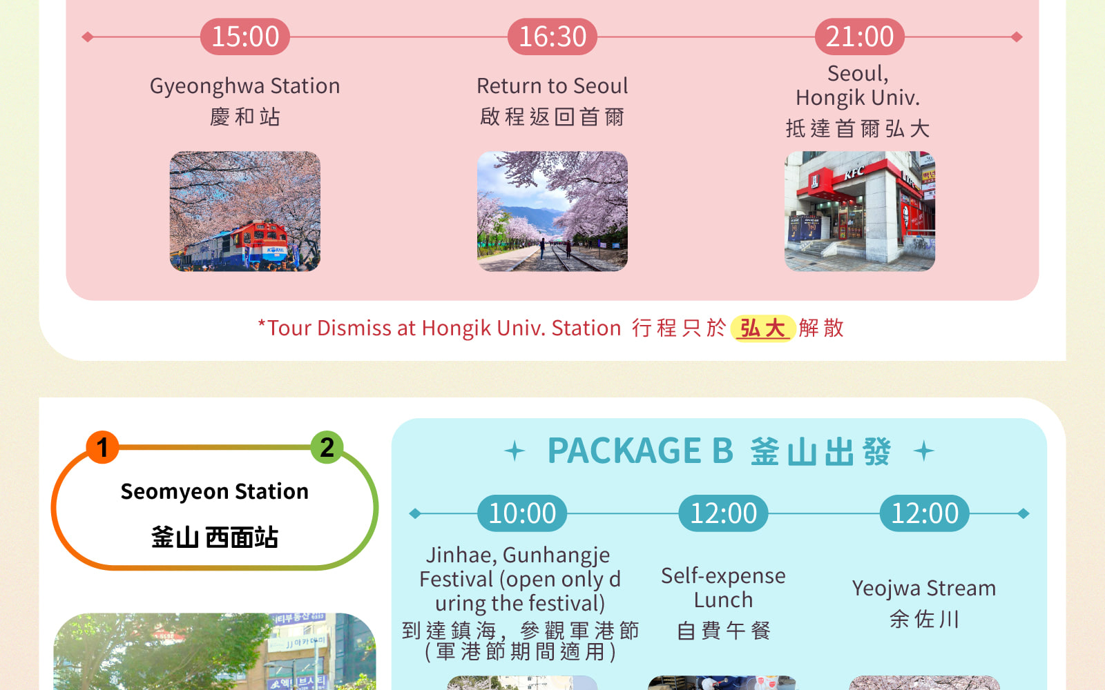 Jinhae Gunhangje Cherry Blossom Festival Day Tour from Seoul/Busan 