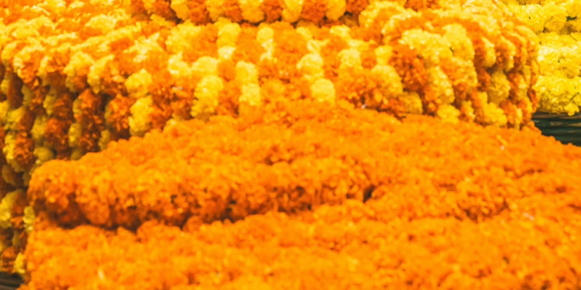 Bangalore : Evening Food Street Walk and Market Visit