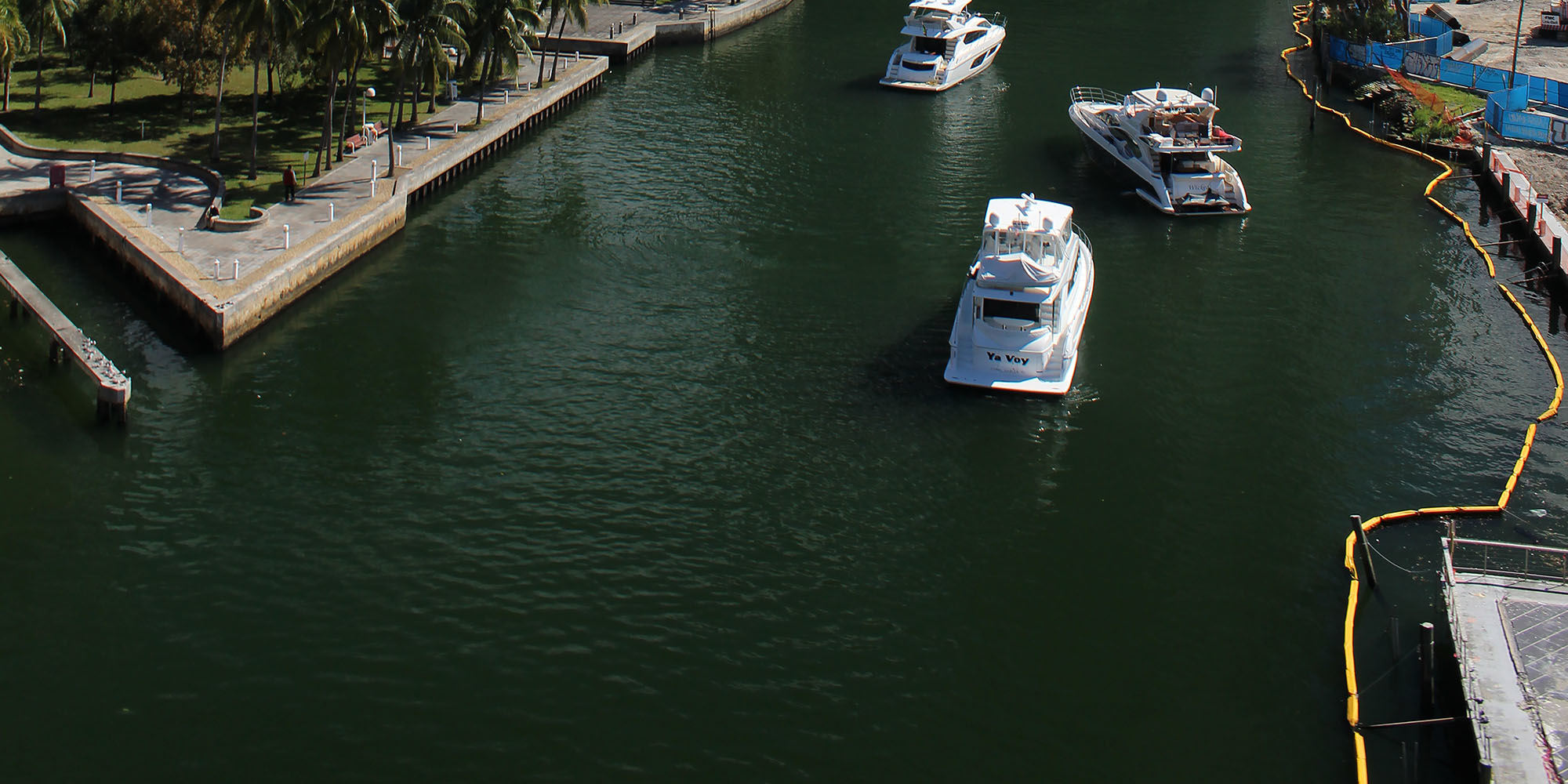 Miami Safari: All-in-1 Tour, Bus, Boat and Walking Best Discovery