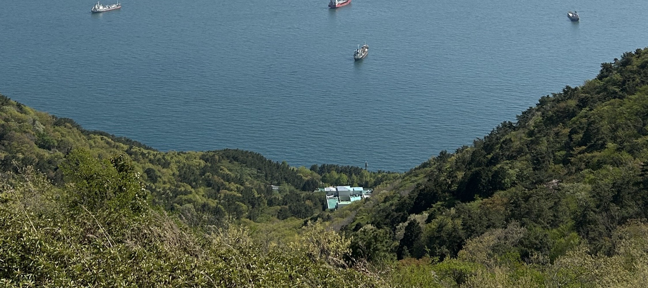 Busan & Pohang-si徒步 & 小吃一日遊