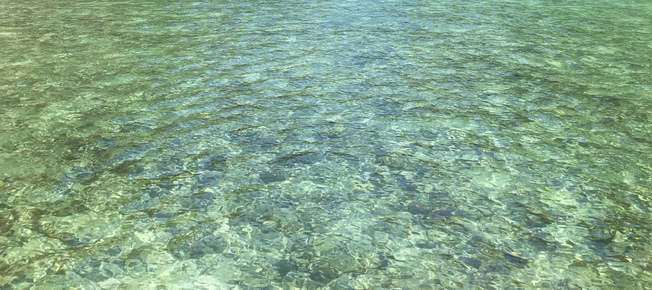 普吉島：皮皮島精華和私人海灘之旅 - 全日遊