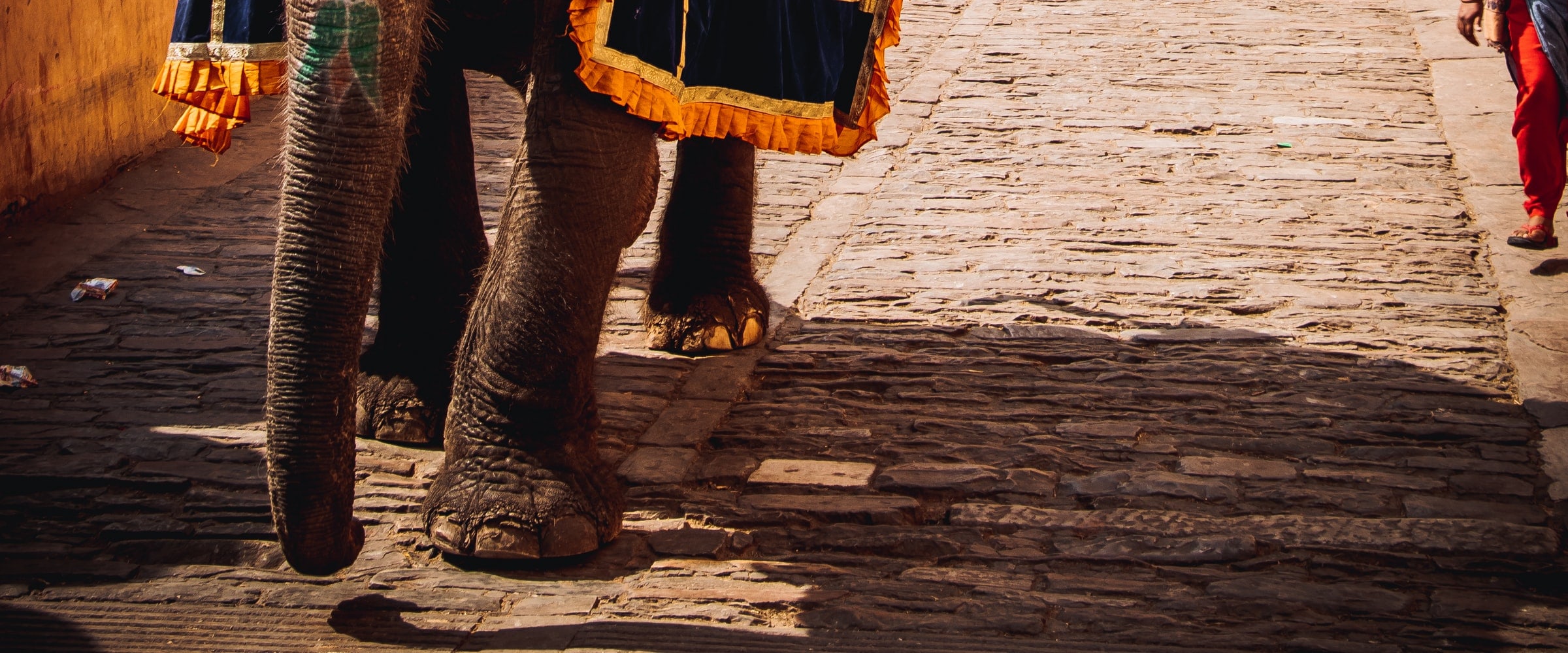 7- Days Udaipur, Chittorgarh, Pushkar & Jaipur City Tour