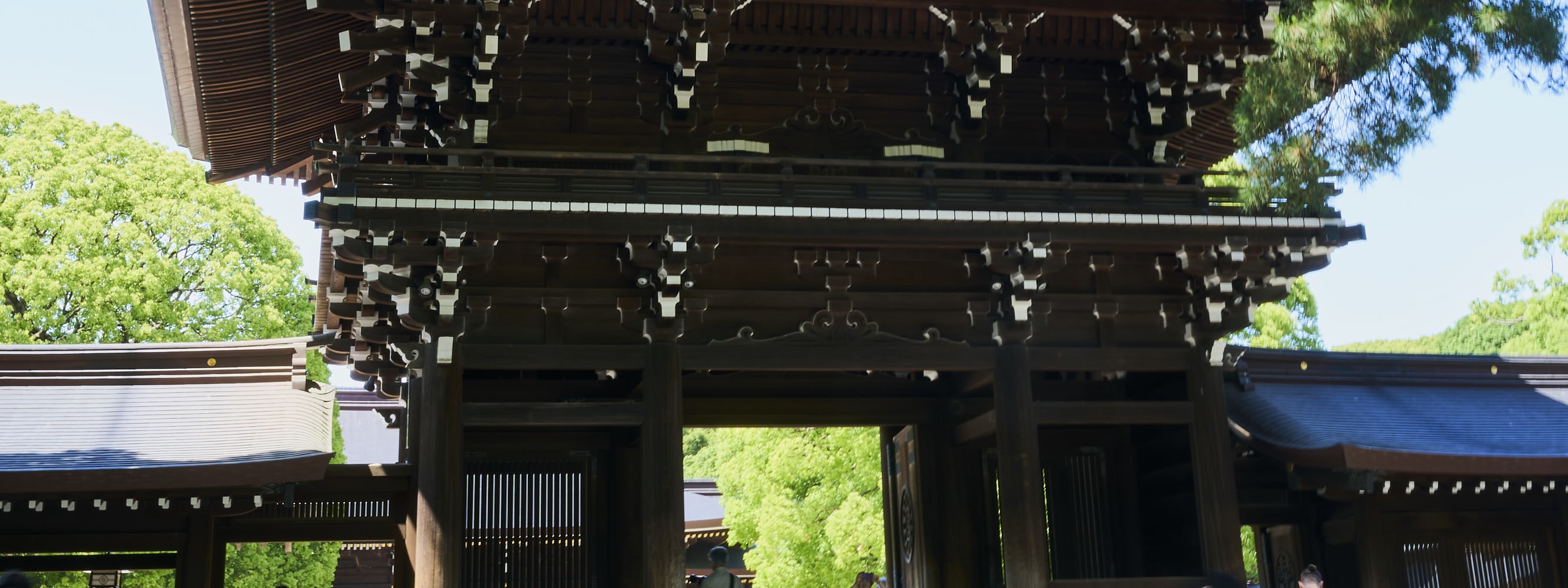 東京：明治神宮歷史之旅（日語導遊）
