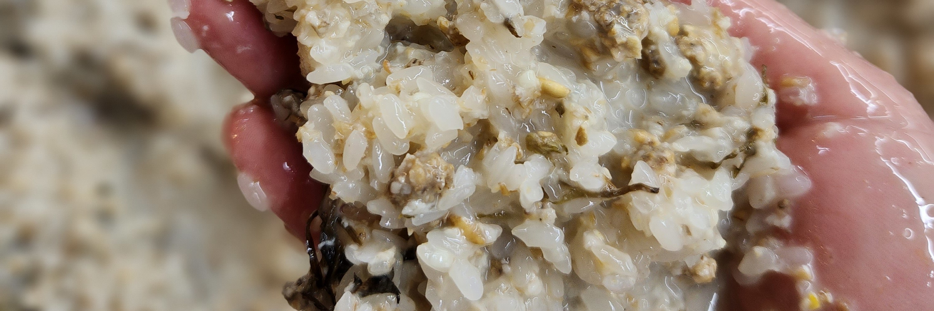 韓國馬格利米酒 & 傳統菜餚製作體驗
