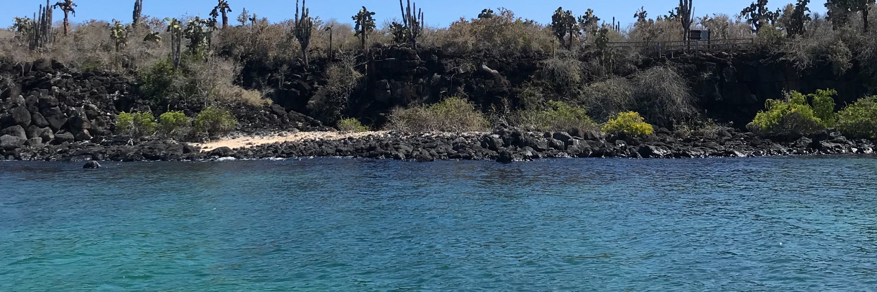 聖克魯斯島（Santa Cruz）海灣之旅