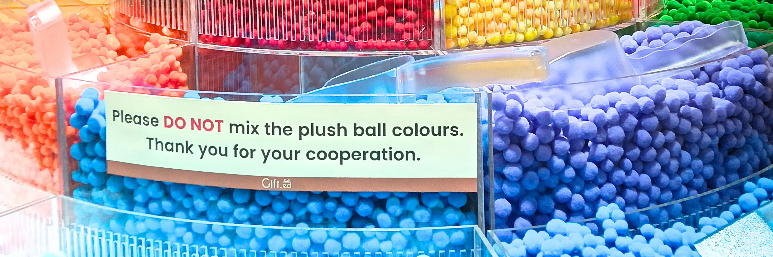 Plush Ball and Art Painting Workshop