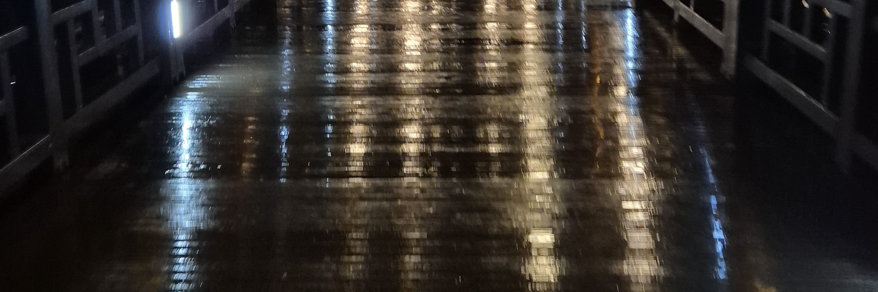 籠罩在浪漫愛情故事中的月映橋夜景，擁有在其他任何地方都無法找到的絕美景色。尤其是在夏季，這個韓國最長的木橋還設有噴泉，清涼的河水