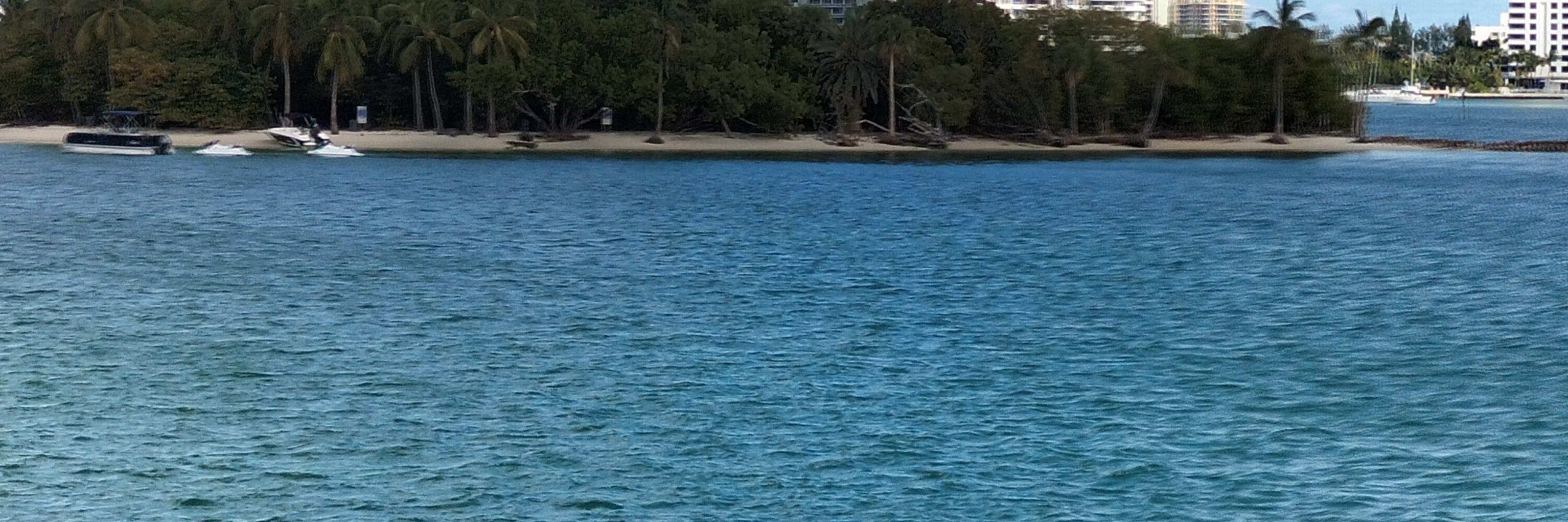 Miami Safari: All-in-1 Tour, Bus, Boat and Walking Best Discovery