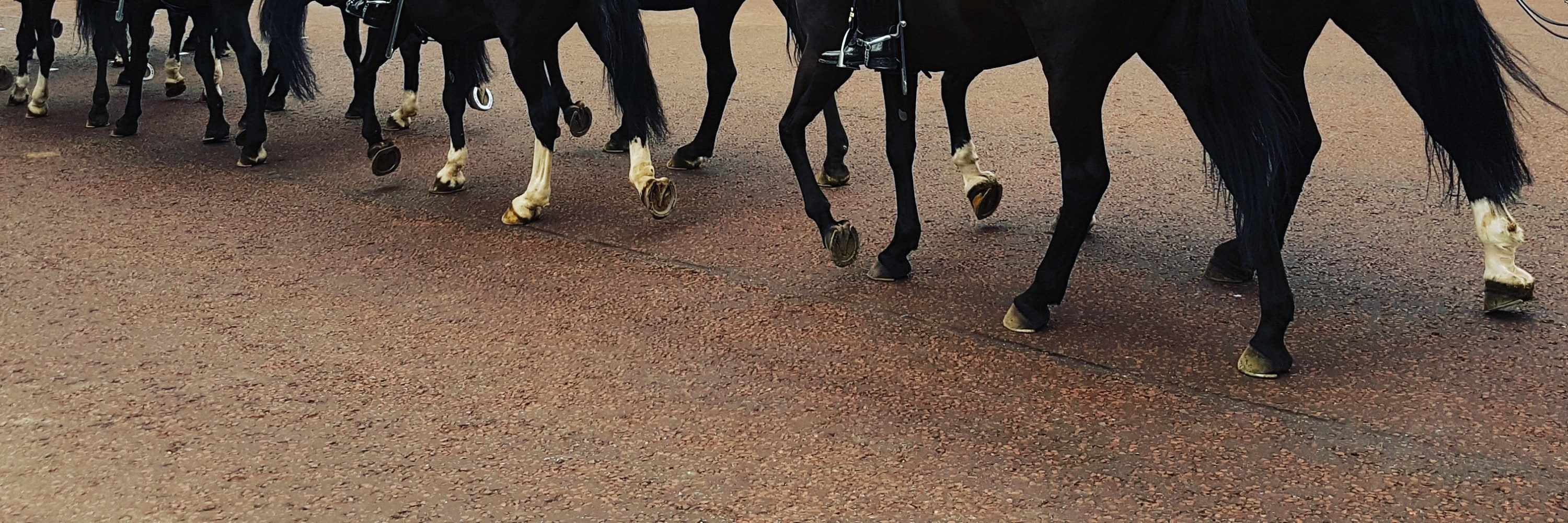 A chance to see the Changing of the Guard (certain days only)