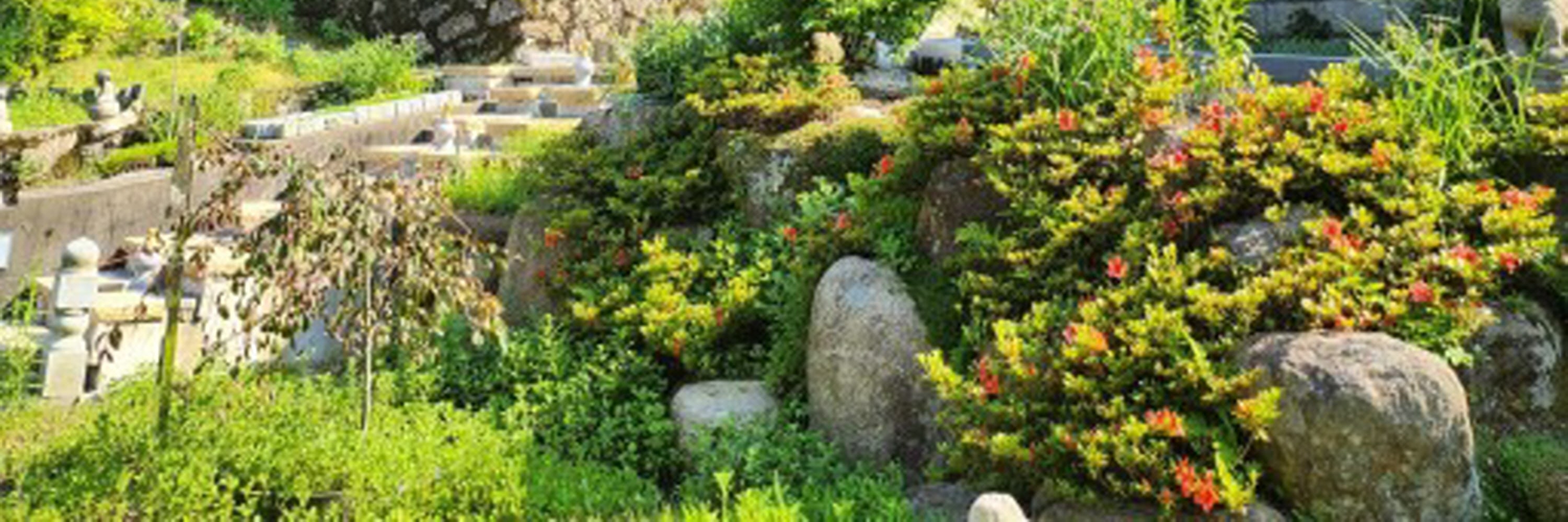石佛寺 & 金井山炮臺徒步之旅