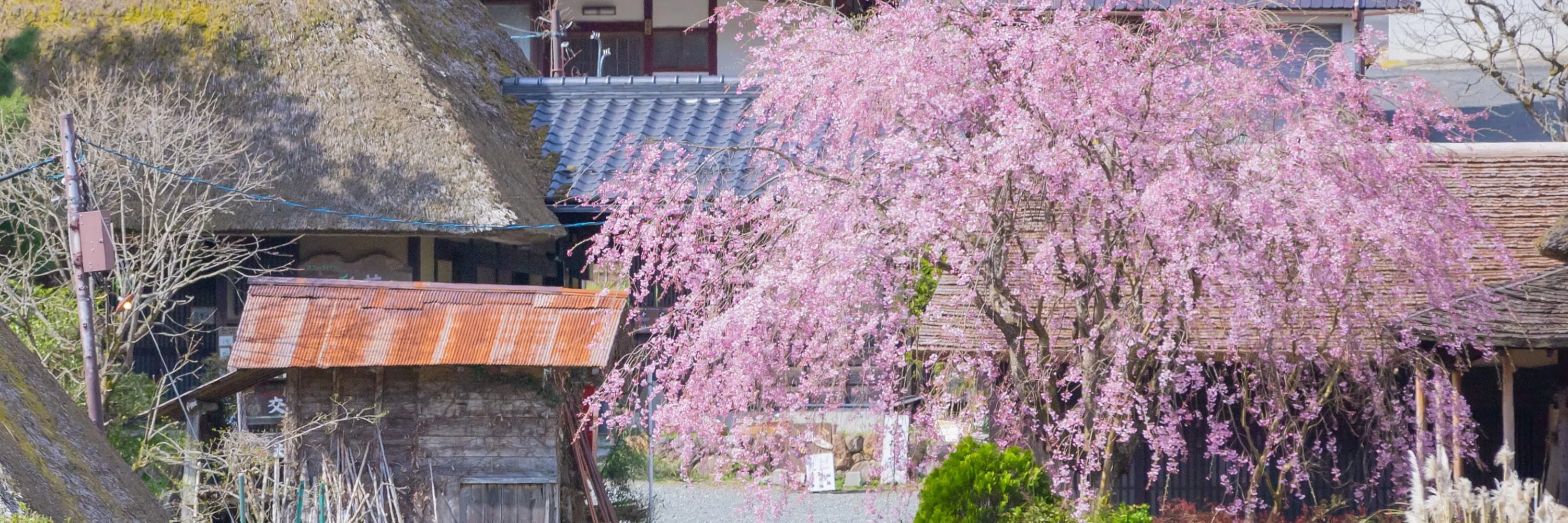 Amanohashidate, Ine Funaya, and Kyoto Gassho Village Miyama Thatched House No Sato Day Tour | Depart from Osaka