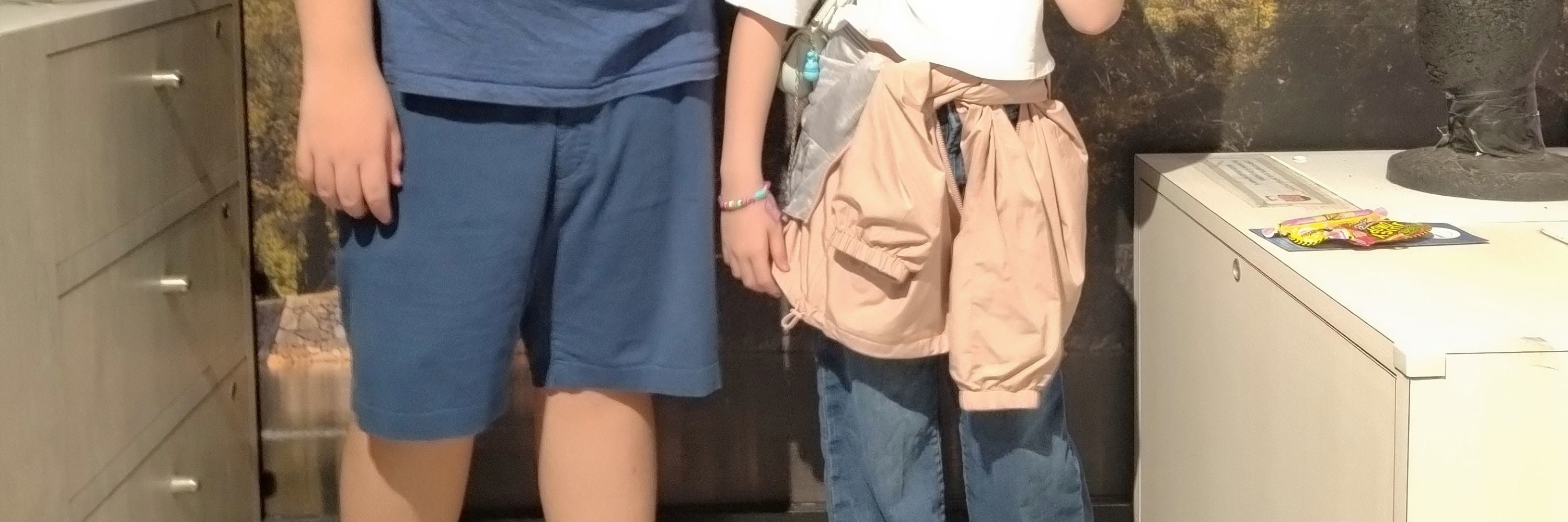 廣島 / 宮島一日私人遊