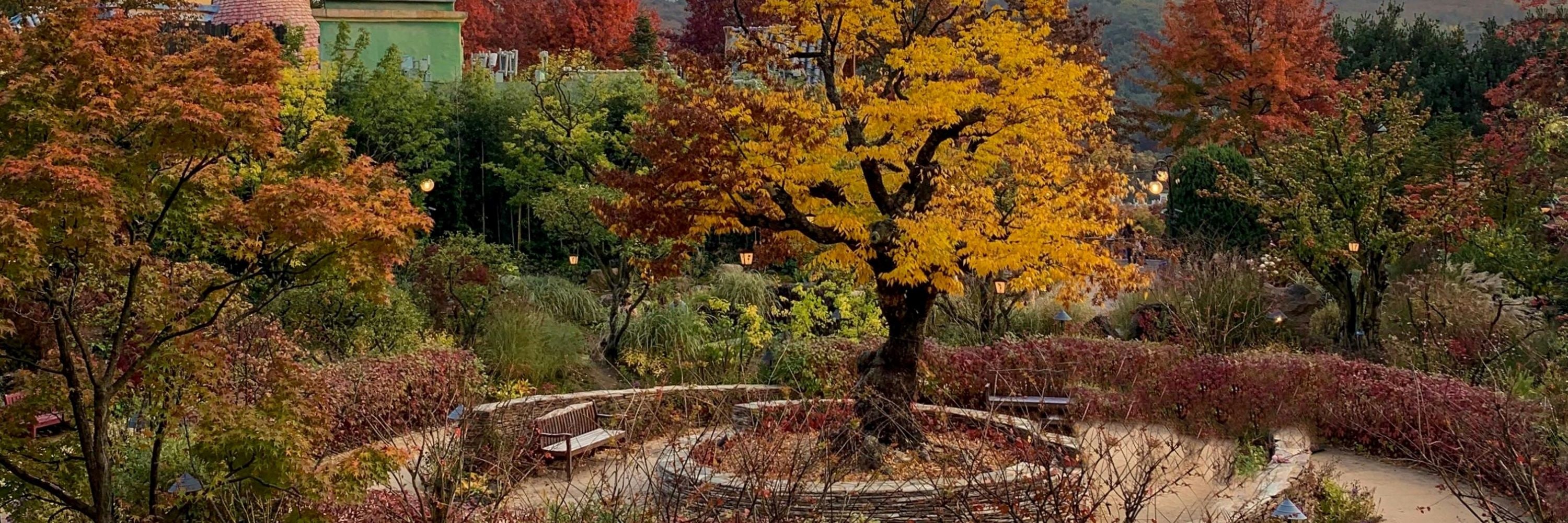 Everland Autumn Season