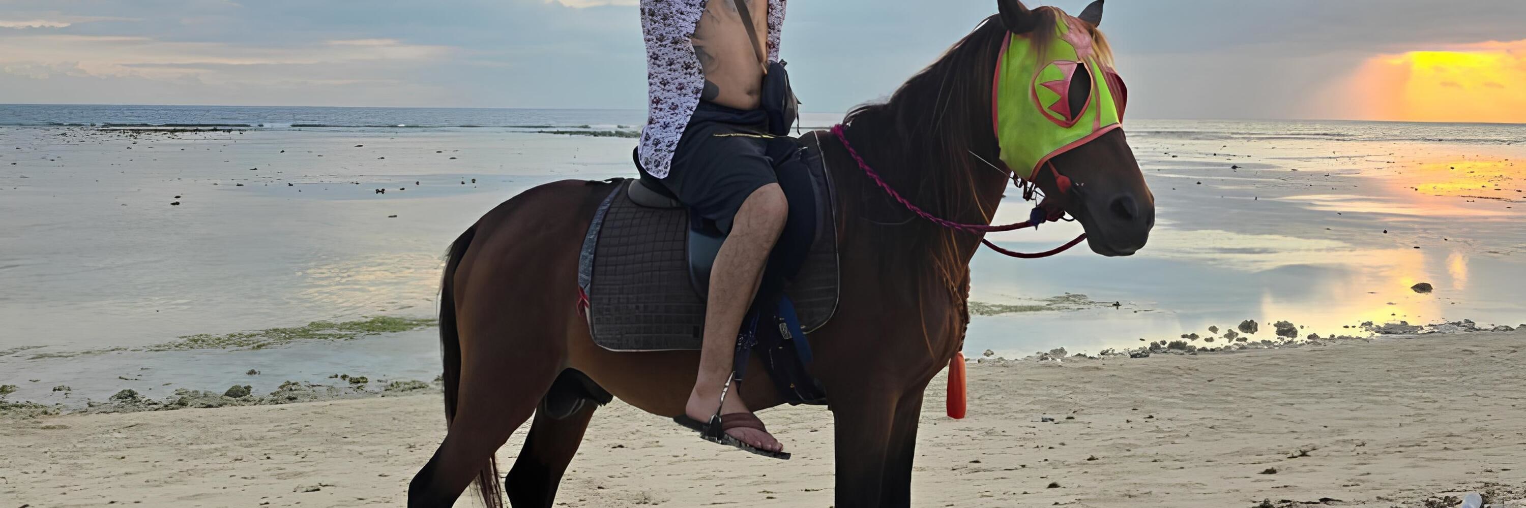 Morning Ride Experience on the Beach of Gili Air Island