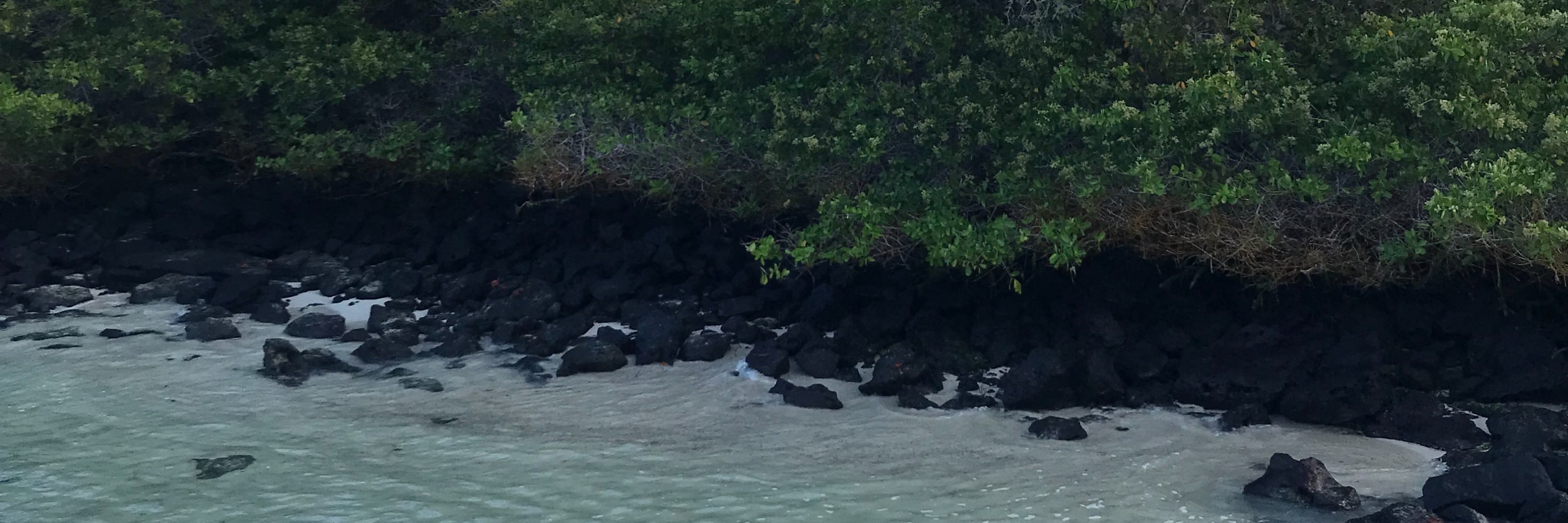 聖克魯斯島（Santa Cruz）海灣之旅