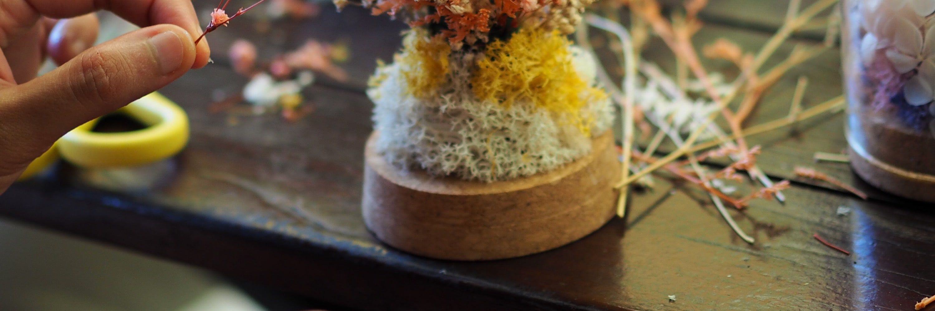 新加坡保鮮花盆栽工作坊（J2 Terrarium）