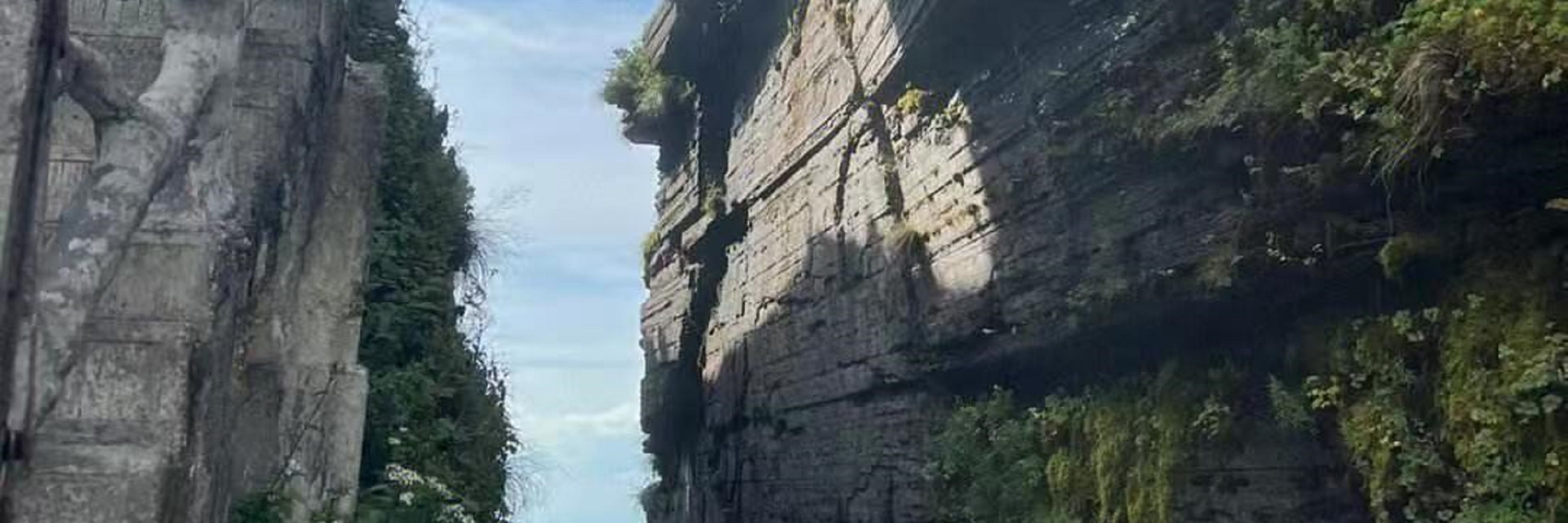 貴州梵淨山高端純玩一日遊（貴陽往返+含午餐+金頂+蘑菇石+摩崖石刻+靈宮臺）