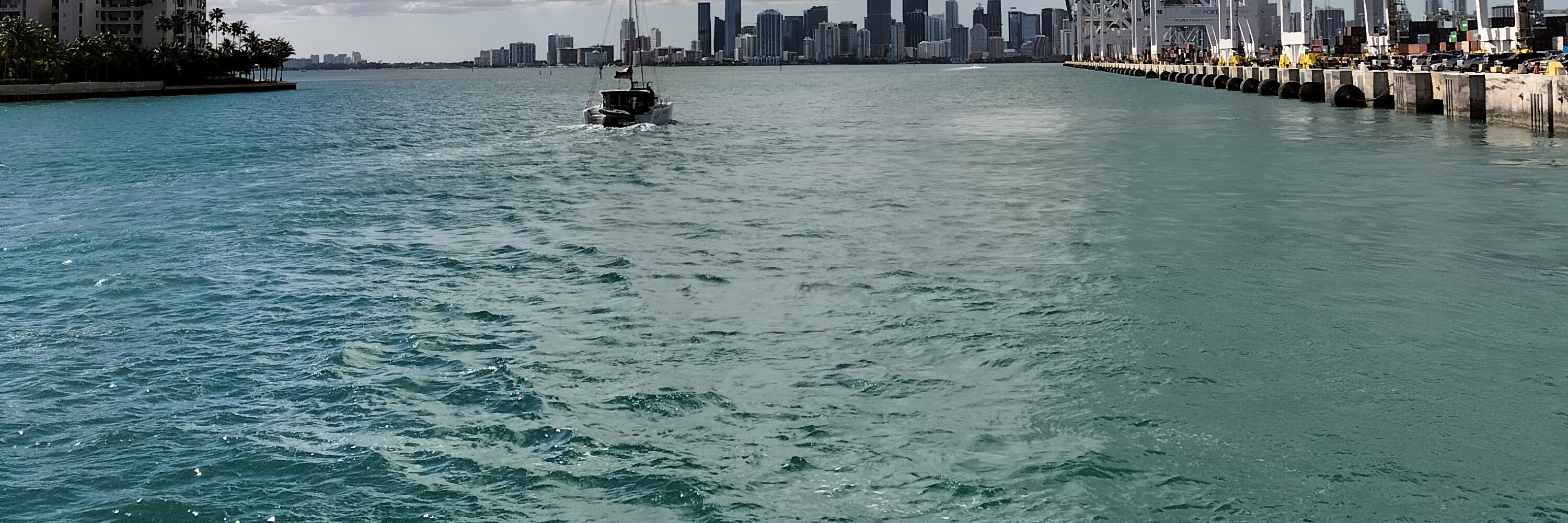 Miami Safari: All-in-1 Tour, Bus, Boat and Walking Best Discovery