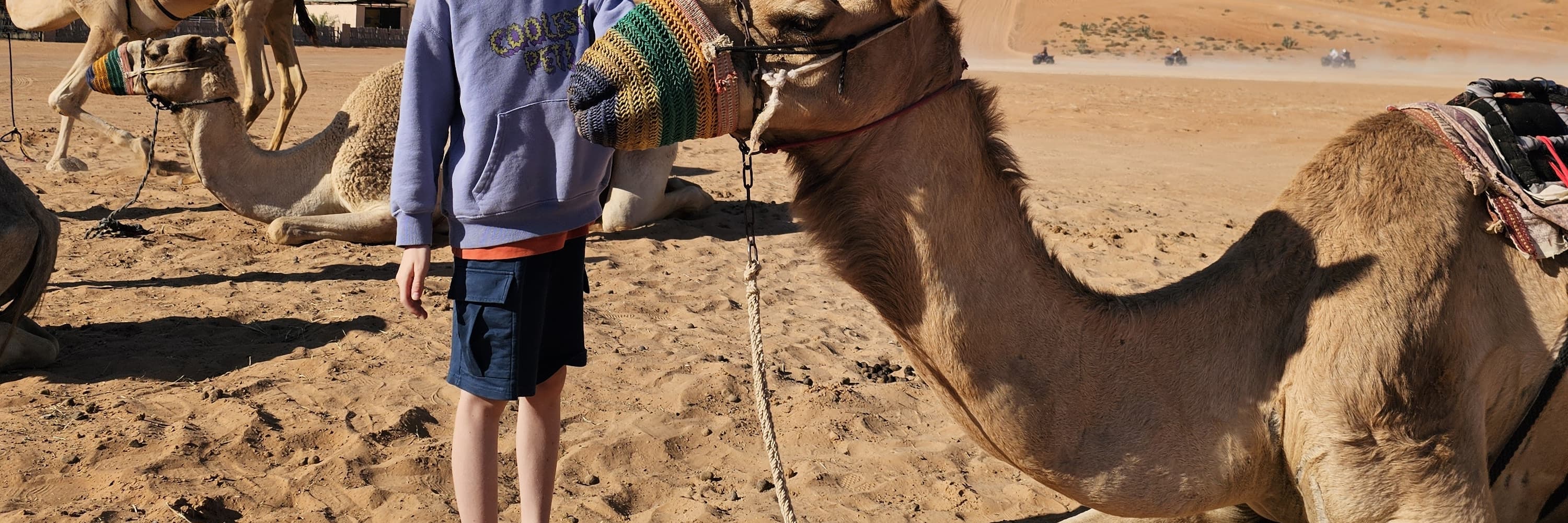 Wadi Bani Khalid & Wahiba沙漠之旅