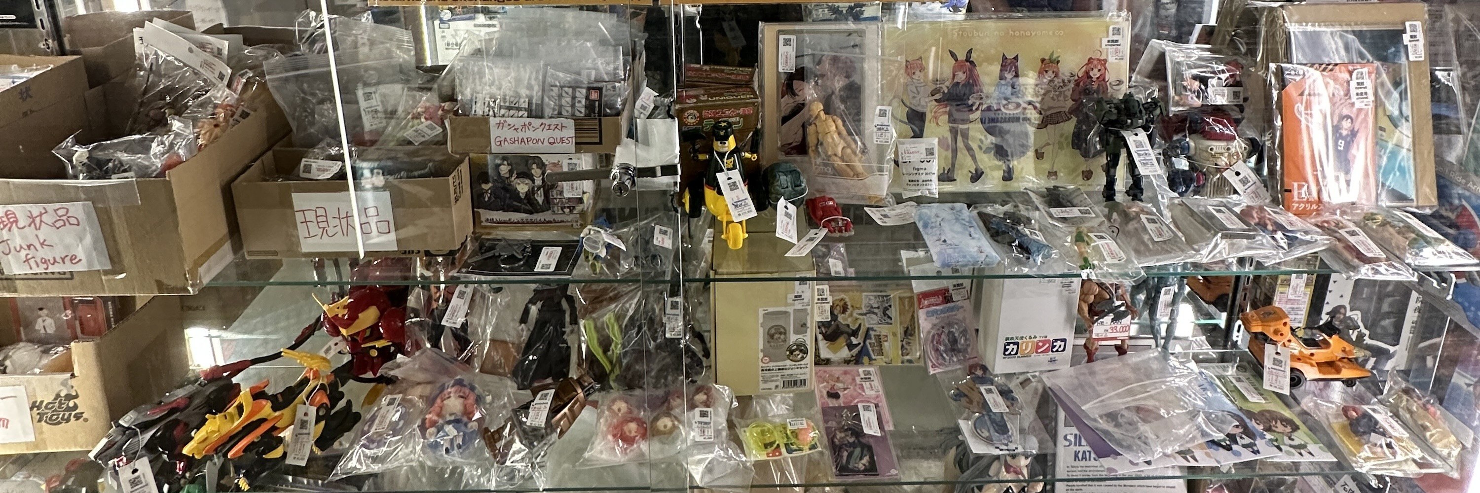 Private Akihabara Retro Tokyo Anime Game Maid Cafe Tour w/ pickup