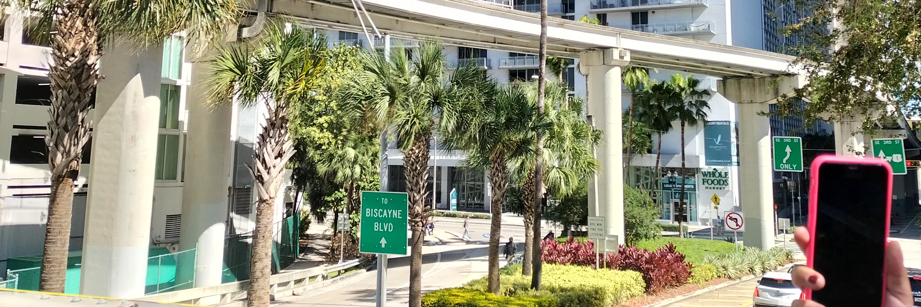 Miami Safari: All-in-1 Tour, Bus, Boat and Walking Best Discovery
