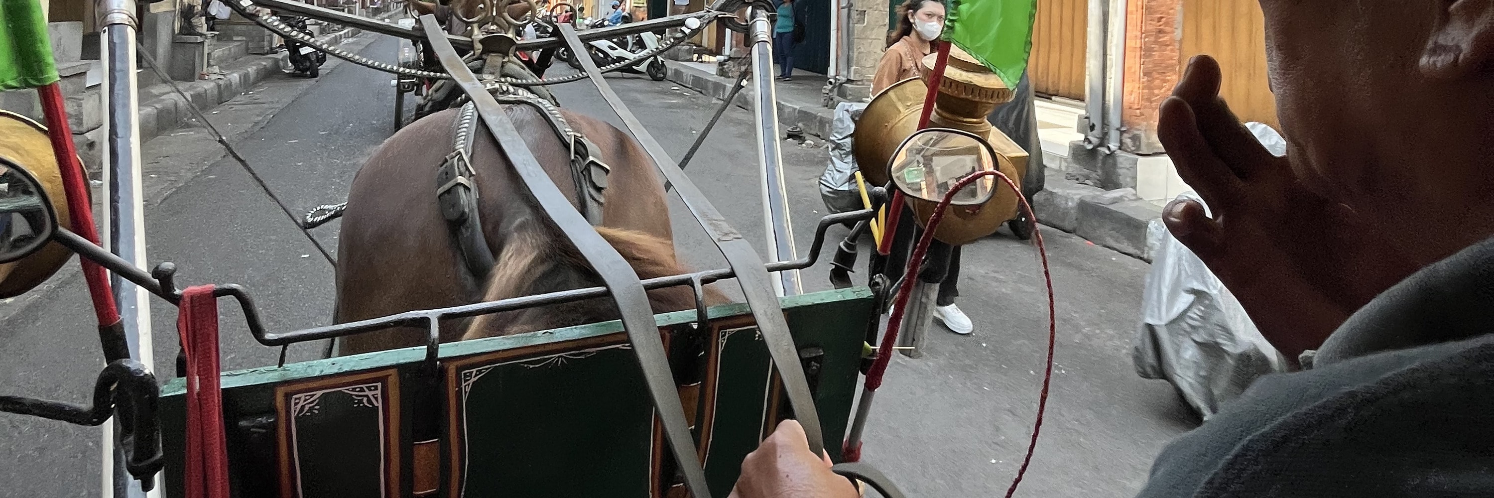 來趟3小時的文化之旅,搭乘馬車漫遊在加查馬達街 (Gajah Mada Street),感受皇室傳統,並深入探索佩梅庫坦皇宮 (Puri Agung Pemecutan) 豐富的歷史、皇室故事,以及令人驚豔的建築遺產。 來趟3小時的文化之旅,搭乘馬車漫遊在加查馬達街 (Gajah Mada Street),感受皇室傳統,並深入探索佩梅庫坦皇宮 (Puri Agung Pemecutan) 豐富的歷史、皇室故事,以及令人驚豔的建築遺產。