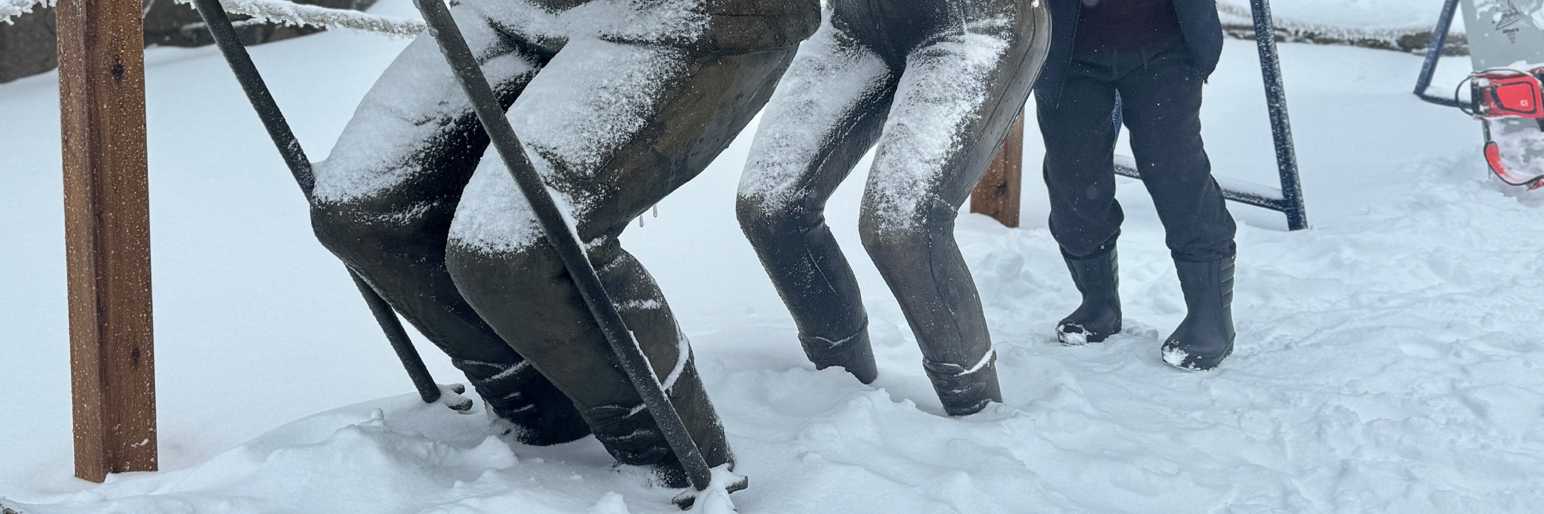 Private Mount Buller Snow & Ski Tour in Melbourne