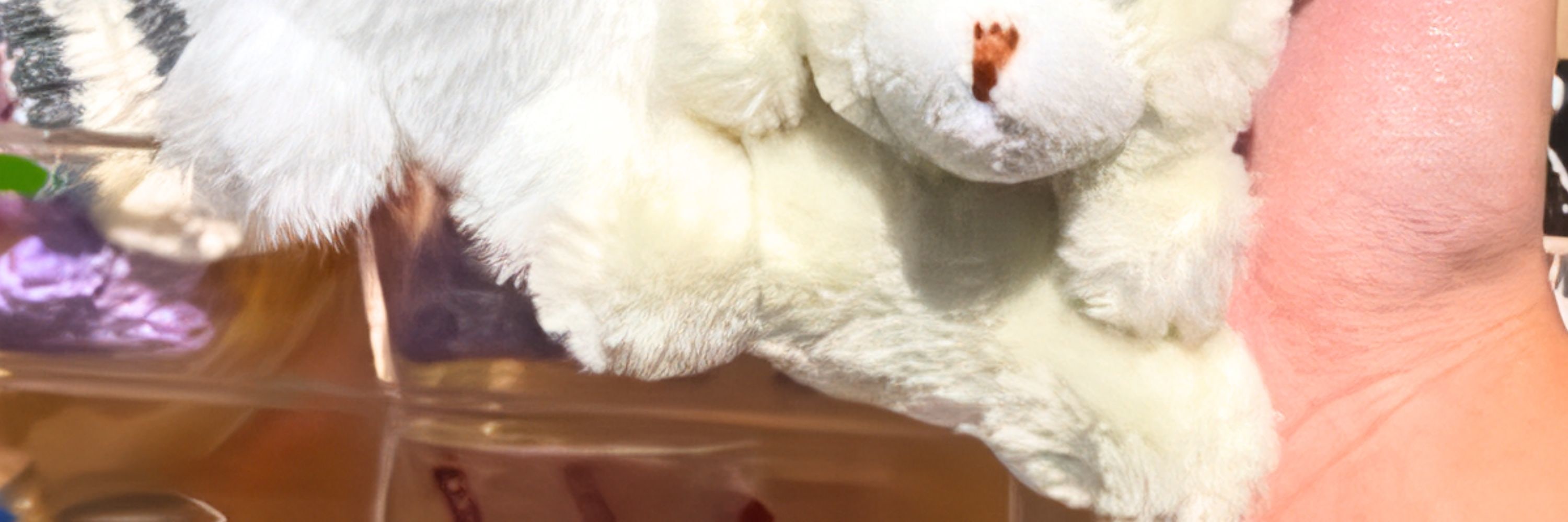 Dress Up Doll Pet Workshop