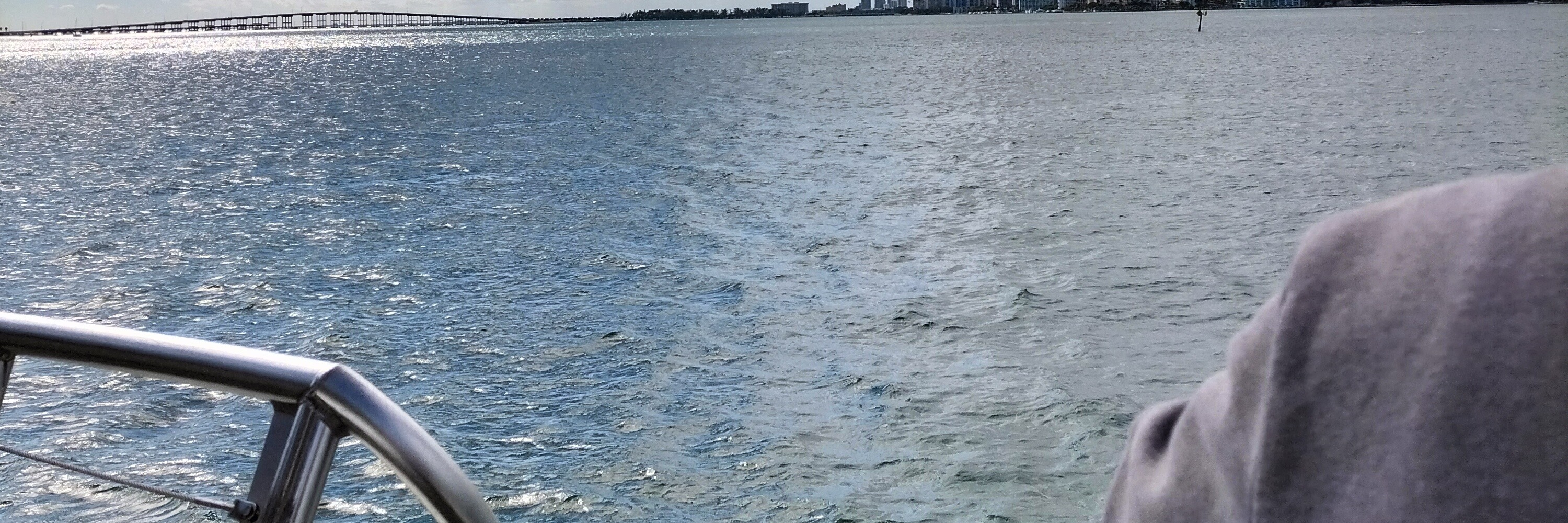 Miami Safari: All-in-1 Tour, Bus, Boat and Walking Best Discovery