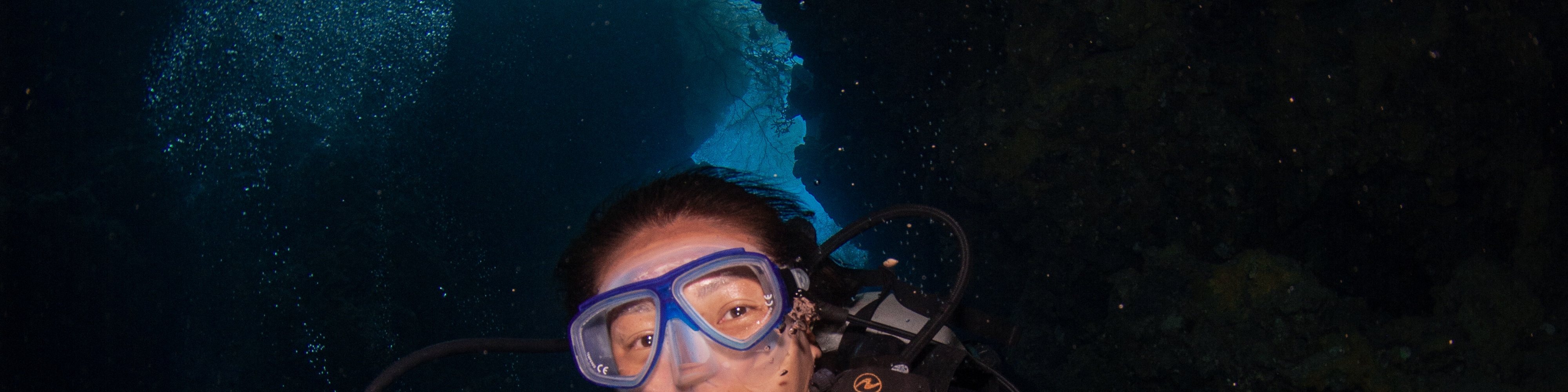 峇里島 PADI 潛水中心進階開放水域潛水員課程