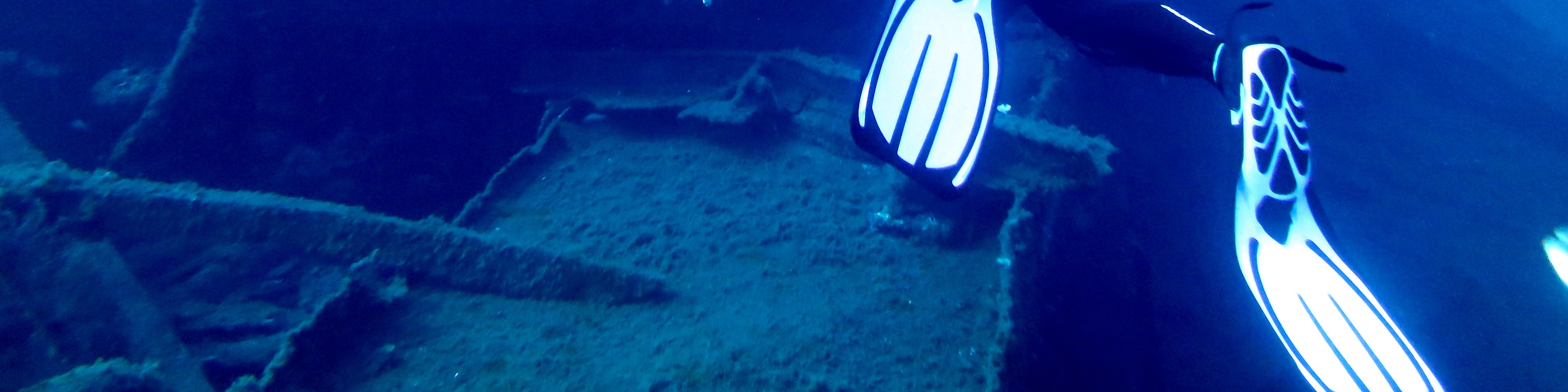 Full-Day Dive Trip