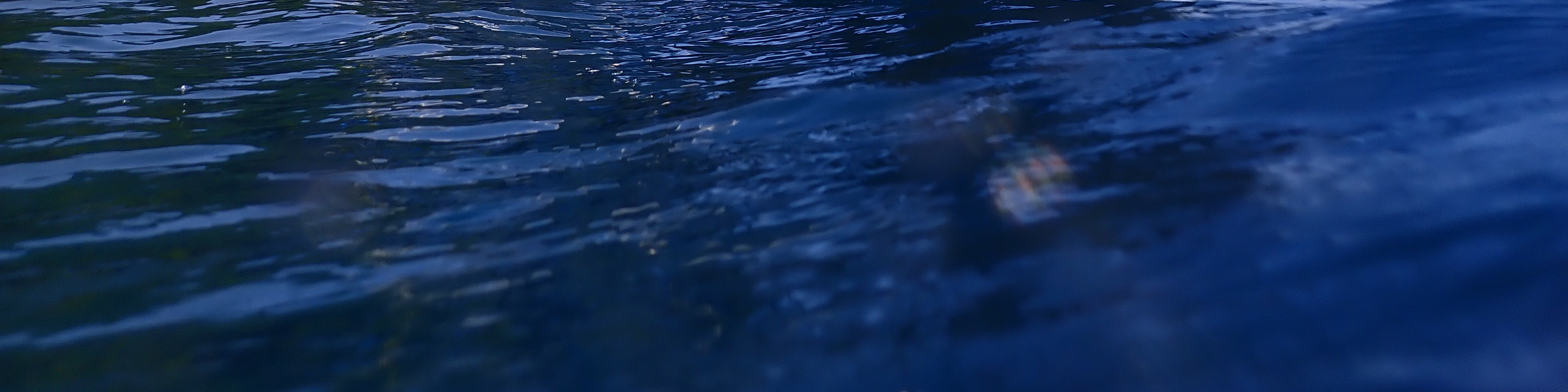 【探索二戰殘骸遺跡】科隆島 PADI 潛水中心進階潛水課程