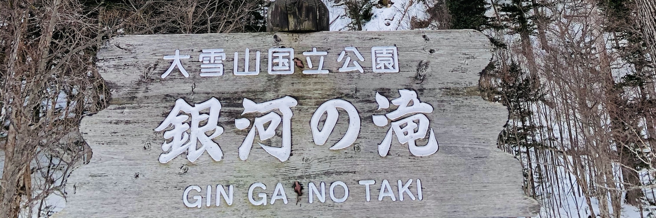 流星瀑布&銀河瀑布 流星瀑布&銀河瀑布