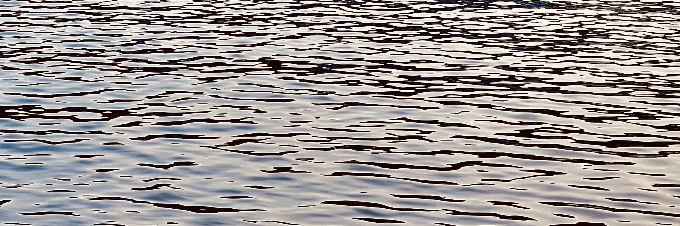 Hop on a ferry that connects Bergen to a nearby island.